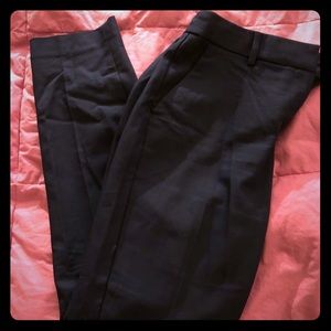 Express columnist ankle dress pants